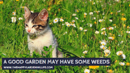 A Good Garden May Have Some Weeds