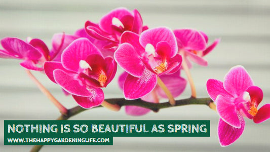 Nothing Is So Beautiful As Spring