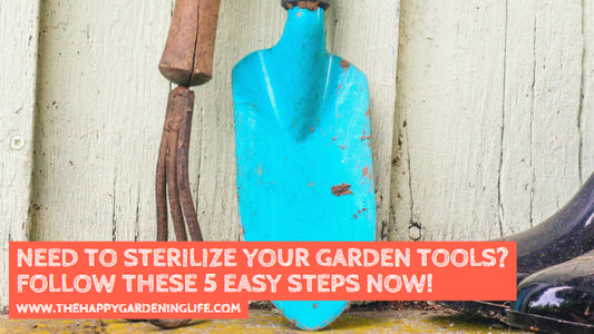 Need to Sterilize Your Garden Tools? Follow These 5 Easy Steps Now!