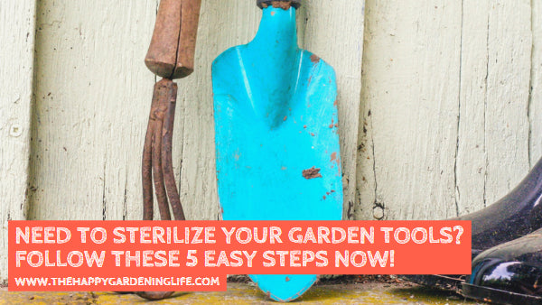 Need to Sterilize Your Garden Tools? Follow These 5 Easy Steps Now!