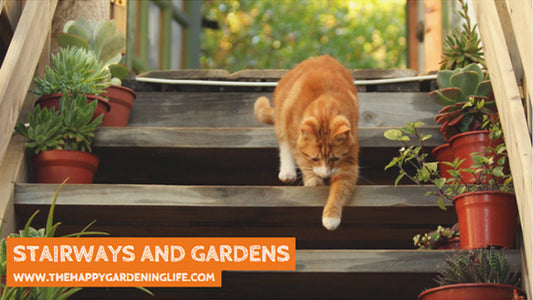 Stairways And Gardens