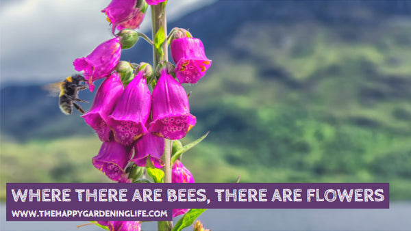 Where There Are Bees, There Are Flowers