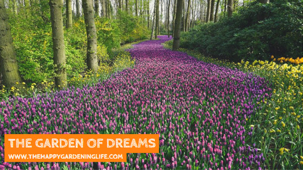 The Garden Of Dreams