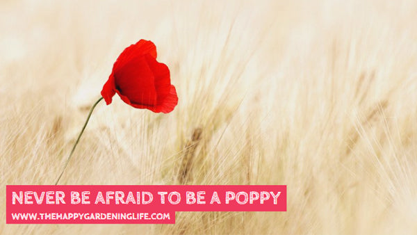Never Be Afraid To Be A Poppy