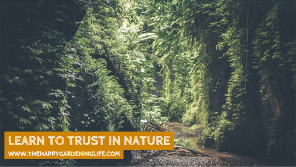 Learn To Trust In Nature