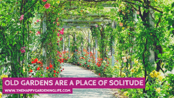 Old Gardens Are A Place Of Solitude