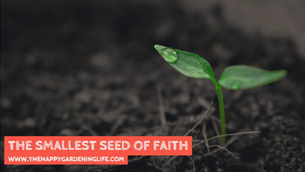 The Smallest Seed Of Faith