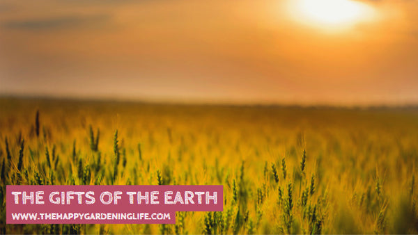 The Gifts Of The Earth