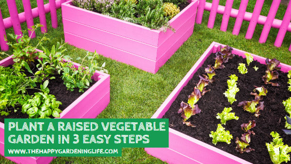 Plant a Raised Vegetable Garden in 3 Easy Steps