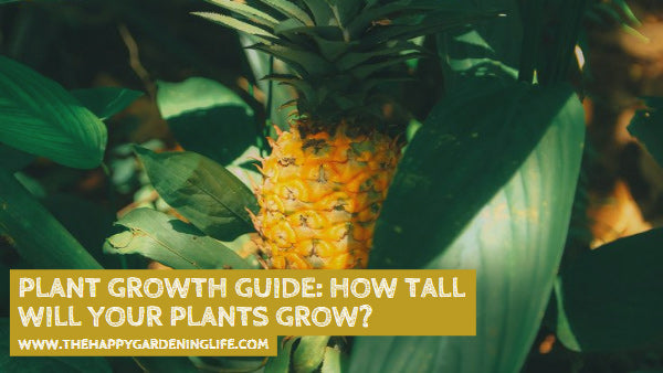 Plant Growth Guide: How Tall Will Your Plants Grow?