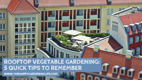 Rooftop Vegetable Gardening: 5 Quick Tips to Remember