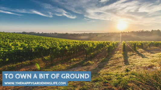 To Own A Bit Of Ground