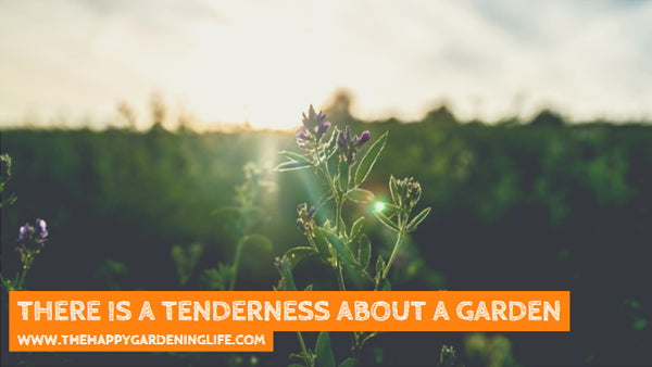 There Is A Tenderness About A Garden