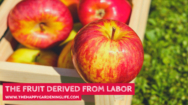 The Fruit Derived From Labor