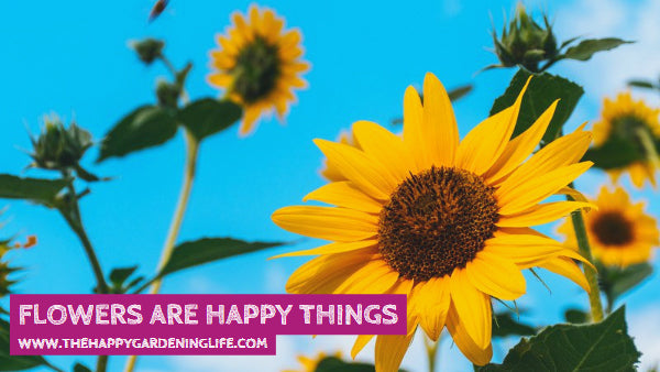 Flowers Are Happy Things