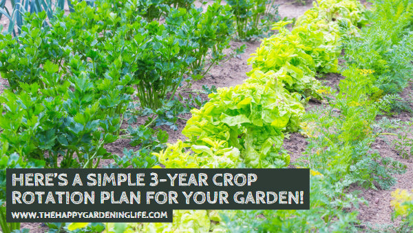 Here’s a Simple 3-Year Crop Rotation Plan for Your Garden!