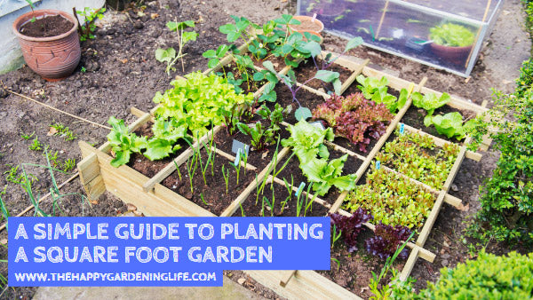 A Simple Guide to Planting a Square Foot Garden – The Happy Gardening Life