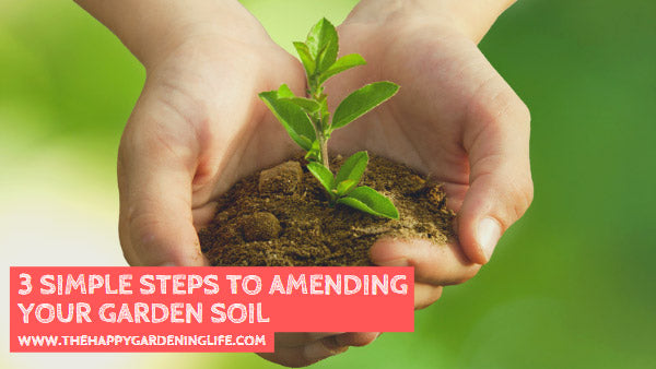 3 Simple Steps to Amending Your Garden Soil