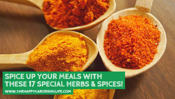 Spice Up Your Meals With These 17 Special Herbs & Spices! – The Happy ...