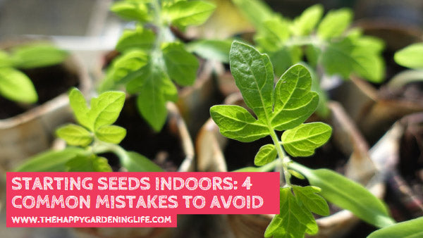 Starting Seeds Indoors: 4 Common Mistakes to Avoid