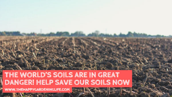 The World’s Soils are in Great Danger! Help Save Our Soils Now