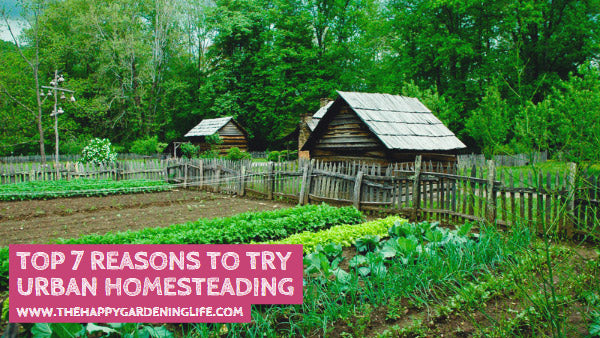 Top 7 Reasons to Try Urban Homesteading