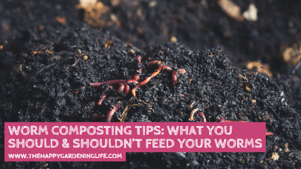 Worm Composting Tips: What You Should & Shouldn’t Feed Your Worms