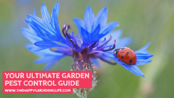 Your Ultimate Garden Pest Control Guide