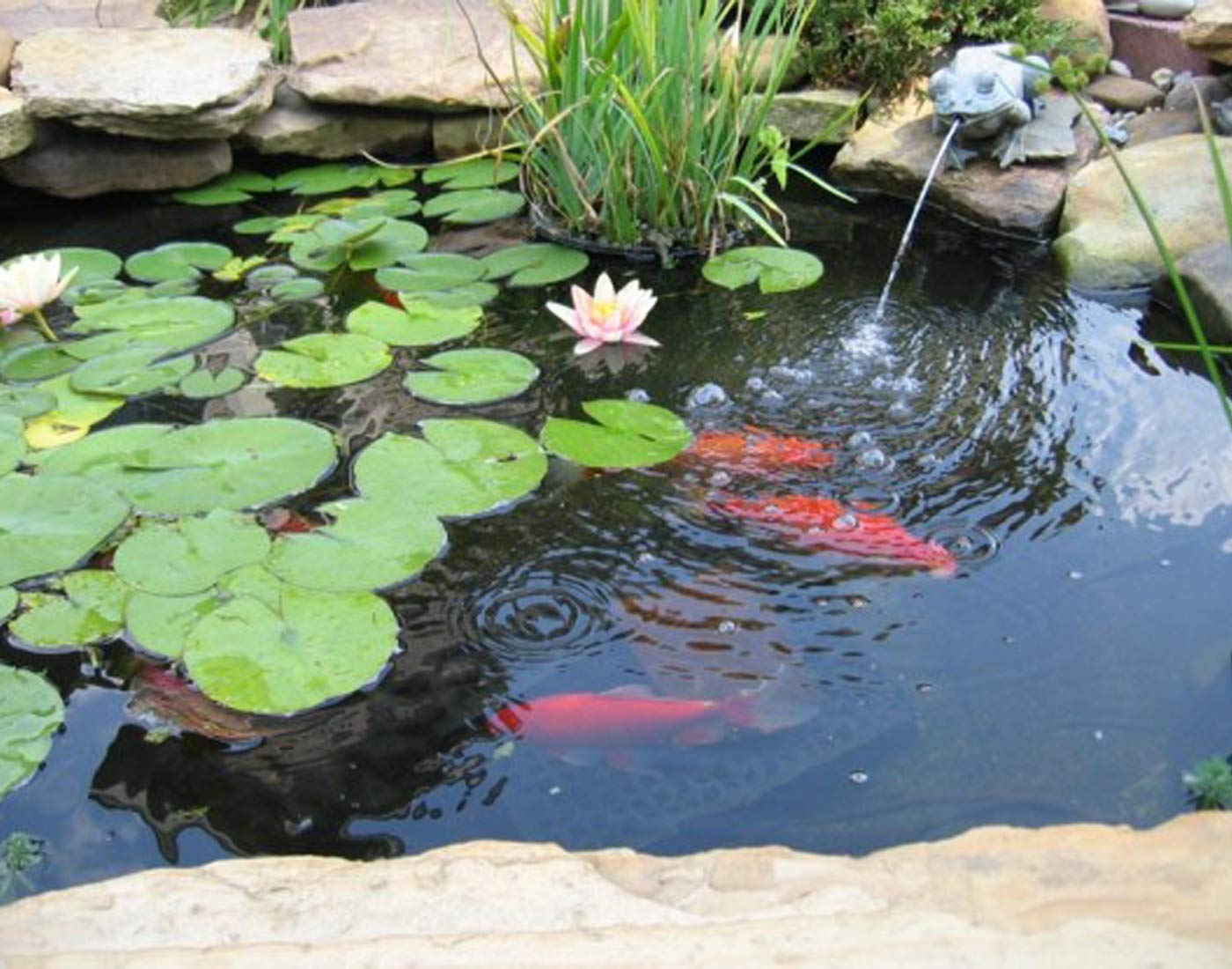 10x13 FT 20 Mil HDPE Pond Liner