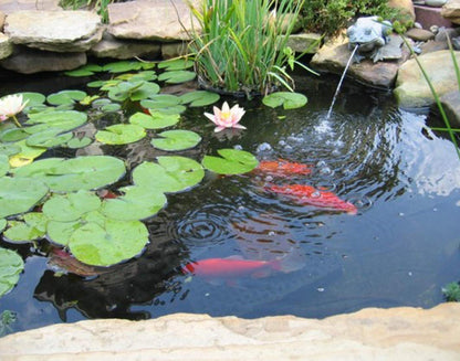 10x13 FT 20 Mil HDPE Pond Liner