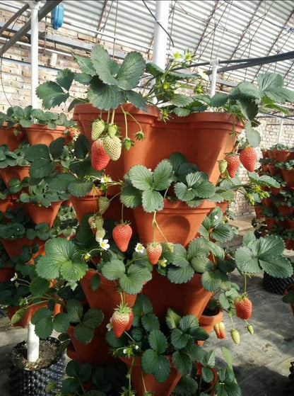 Mr. Stacky 5-Tier Stackable Planter