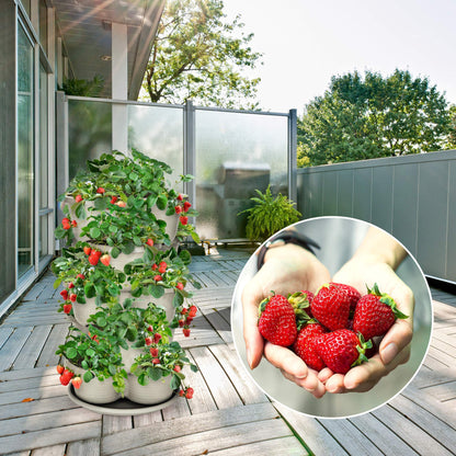 Amazing Creation Vertical Oasis Stackable Planter