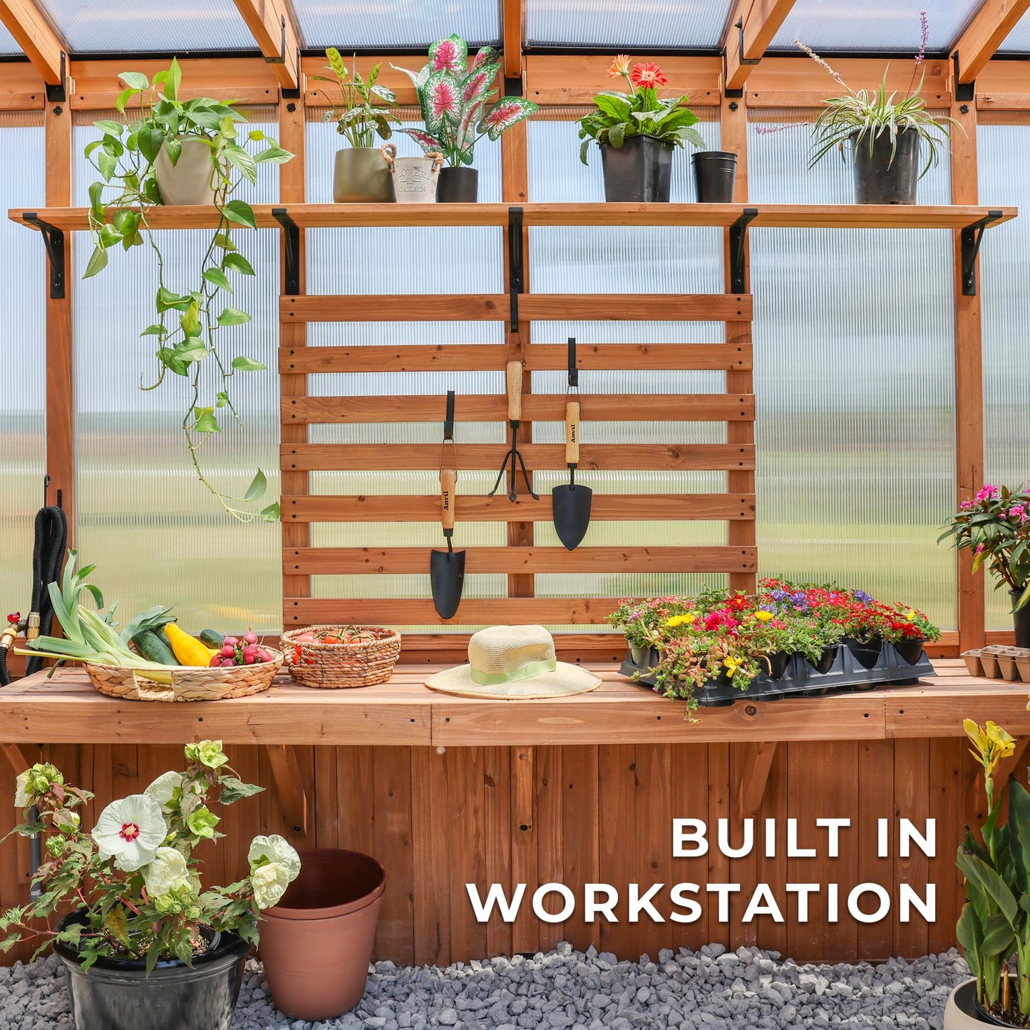 Backyard Discovery Poppy 11'x7' Cedar Greenhouse Kit
