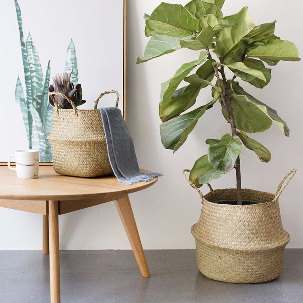 https://thehappygardeninglife.com/cdn/shop/products/Household-Foldable-Natural-Seagrass-Woven-Storage-Pot-Garden-Flower-Vase-Hanging-Handle-Storage-Bellied-Basket-Drop_1000x.jpg?v=1594646505